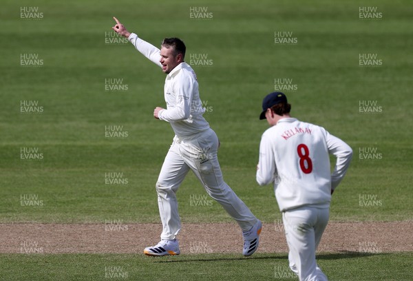 050426 - Glamorgan v Yorkshire - Rothesay County Championship Division One - Mason Crane of Glamorgan celebrates taking the wicket of George Hill of Yorkshire