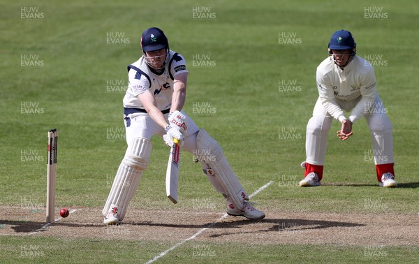 050426 - Glamorgan v Yorkshire - Rothesay County Championship Division One - Matthew Revis of Yorkshire batting