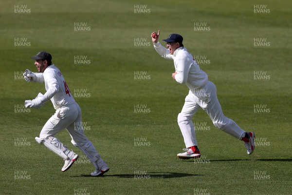 050426 - Glamorgan v Yorkshire - Rothesay County Championship Division One - Asa Tribe of Glamorgan celebrates after catches the ball to dismiss Logan van Beek