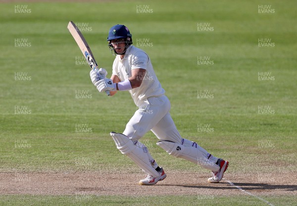 050426 - Glamorgan v Yorkshire - Rothesay County Championship Division One - Asa Tribe of Glamorgan batting