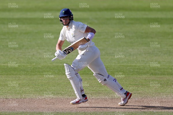 050426 - Glamorgan v Yorkshire - Rothesay County Championship Division One - Asa Tribe of Glamorgan batting