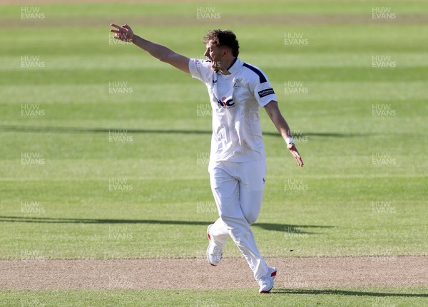 050426 - Glamorgan v Yorkshire - Rothesay County Championship Division One - Ben Coad of Yorkshire appeals for a wicket