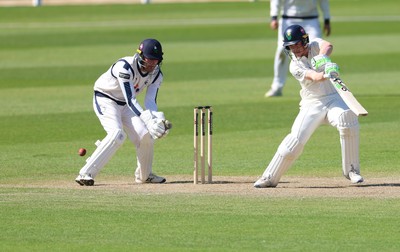060426 - Glamorgan v Yorkshire, Rothesay County Championship, Division One - Ben Kellaway of Glamorgan plays a shot