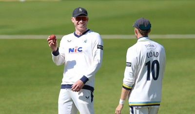 060426 - Glamorgan v Yorkshire, Rothesay County Championship, Division One - Matthew Revis of Yorkshire is all smiles after he catches Colin Ingram of Glamorgan