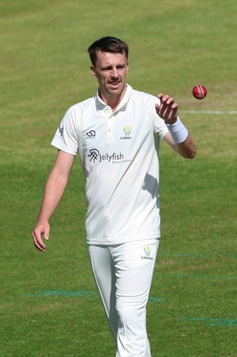 060426 - Glamorgan v Yorkshire, Rothesay County Championship, Division One - Ryan Hadley of Glamorgan