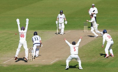 060426 - Glamorgan v Yorkshire, Rothesay County Championship, Division One - Glamorgan celebrate as Finlay Bean of Yorkshire is given out lbw off the bowling of Mason Crane of Glamorgan