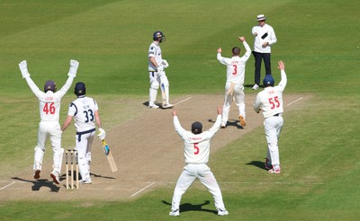 060426 - Glamorgan v Yorkshire, Rothesay County Championship, Division One - Glamorgan celebrate as Finlay Bean of Yorkshire is given out lbw off the bowling of Mason Crane of Glamorgan