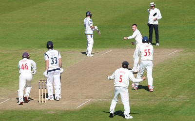060426 - Glamorgan v Yorkshire, Rothesay County Championship, Division One - Glamorgan celebrate as Finlay Bean of Yorkshire is given out lbw off the bowling of Mason Crane of Glamorgan