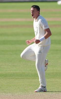 060426 - Glamorgan v Yorkshire, Rothesay County Championship, Division One - Ryan Hadley of Glamorgan celebrates after taking the wicket of Will Luxton of Yorkshire lbw