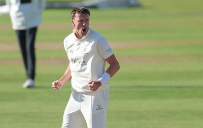 060426 - Glamorgan v Yorkshire, Rothesay County Championship, Division One - Ryan Hadley of Glamorgan celebrates after taking the wicket of Will Luxton of Yorkshire lbw