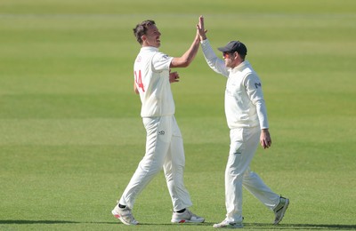 060426 - Glamorgan v Yorkshire, Rothesay County Championship, Division One - Ryan Hadley of Glamorgan celebrates after taking the wicket of Will Luxton of Yorkshire lbw
