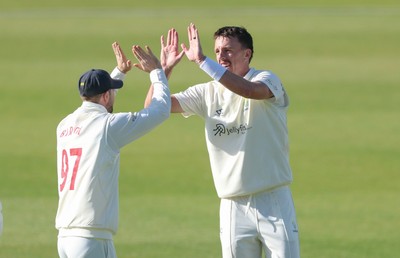 060426 - Glamorgan v Yorkshire, Rothesay County Championship, Division One - Ryan Hadley of Glamorgan celebrates after taking the wicket of Will Luxton of Yorkshire lbw