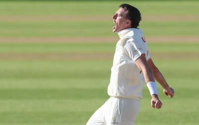 060426 - Glamorgan v Yorkshire, Rothesay County Championship, Division One - Ryan Hadley of Glamorgan celebrates after taking the wicket of Will Luxton of Yorkshire lbw