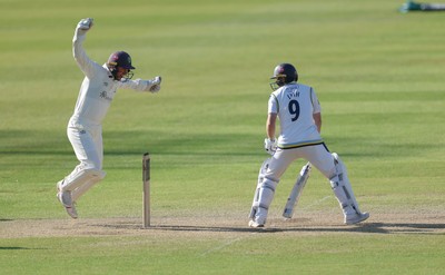 060426 - Glamorgan v Yorkshire, Rothesay County Championship, Division One - Chris Cooke of Glamorgan  celebrates as he catches Adam Lyth of Yorkshire off the bowling of Ben Kellaway of Glamorgan for 97