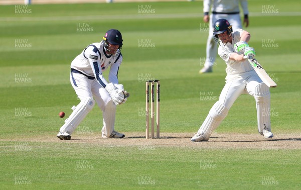 060426 - Glamorgan v Yorkshire, Rothesay County Championship, Division One - Ben Kellaway of Glamorgan plays a shot