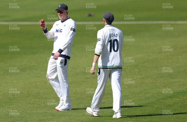 060426 - Glamorgan v Yorkshire, Rothesay County Championship, Division One - Matthew Revis of Yorkshire is all smiles after he catches Colin Ingram of Glamorgan