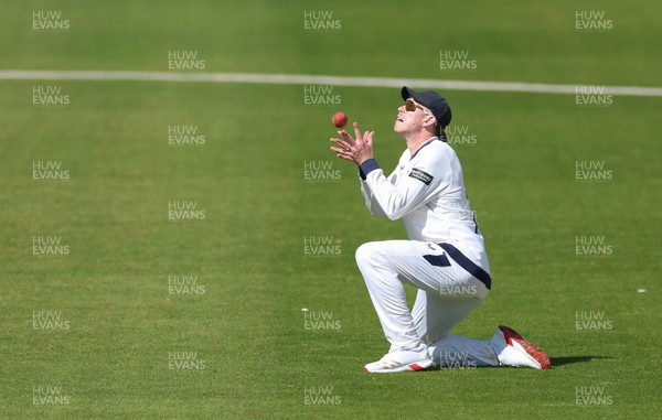 060426 - Glamorgan v Yorkshire, Rothesay County Championship, Division One - Matthew Revis of Yorkshire catches Colin Ingram of Glamorgan
