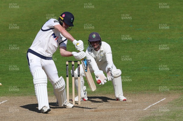 060426 - Glamorgan v Yorkshire, Rothesay County Championship, Division One - Finlay Bean of Yorkshire plays a shot off the bowling of Ben Kellaway of Glamorgan