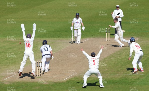 060426 - Glamorgan v Yorkshire, Rothesay County Championship, Division One - Glamorgan celebrate as Finlay Bean of Yorkshire is given out lbw off the bowling of Mason Crane of Glamorgan