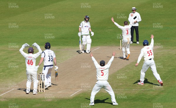 060426 - Glamorgan v Yorkshire, Rothesay County Championship, Division One - Glamorgan celebrate as Finlay Bean of Yorkshire is given out lbw off the bowling of Mason Crane of Glamorgan