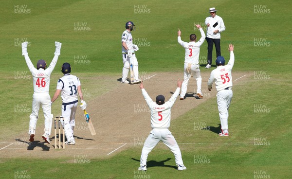 060426 - Glamorgan v Yorkshire, Rothesay County Championship, Division One - Glamorgan celebrate as Finlay Bean of Yorkshire is given out lbw off the bowling of Mason Crane of Glamorgan