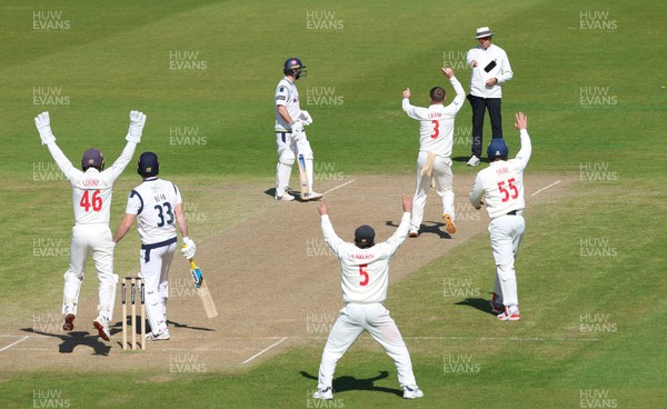 060426 - Glamorgan v Yorkshire, Rothesay County Championship, Division One - Glamorgan celebrate as Finlay Bean of Yorkshire is given out lbw off the bowling of Mason Crane of Glamorgan