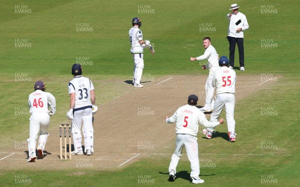 060426 - Glamorgan v Yorkshire, Rothesay County Championship, Division One - Glamorgan celebrate as Finlay Bean of Yorkshire is given out lbw off the bowling of Mason Crane of Glamorgan