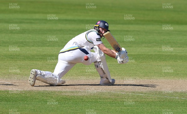 060426 - Glamorgan v Yorkshire, Rothesay County Championship, Division One - Adam Lyth of Yorkshire hits a 4