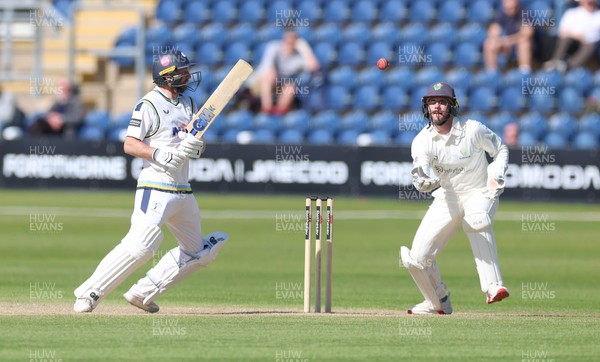 060426 - Glamorgan v Yorkshire, Rothesay County Championship, Division One - Adam Lyth of Yorkshire looks on as Chris Cooke of Glamorgan takes the ball
