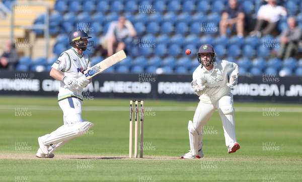 060426 - Glamorgan v Yorkshire, Rothesay County Championship, Division One - Adam Lyth of Yorkshire looks on as Chris Cooke of Glamorgan takes the ball