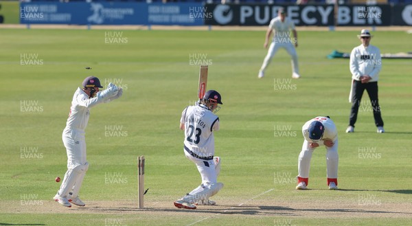 060426 - Glamorgan v Yorkshire, Rothesay County Championship, Division One - Chris Cooke of Glamorgan  celebrates as James Wharton of Yorkshire is bowled by Mason Crane of Glamorgan