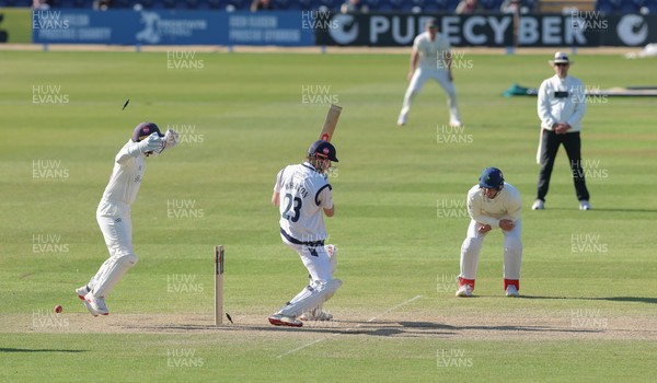 060426 - Glamorgan v Yorkshire, Rothesay County Championship, Division One - Chris Cooke of Glamorgan  celebrates as James Wharton of Yorkshire is bowled by Mason Crane of Glamorgan