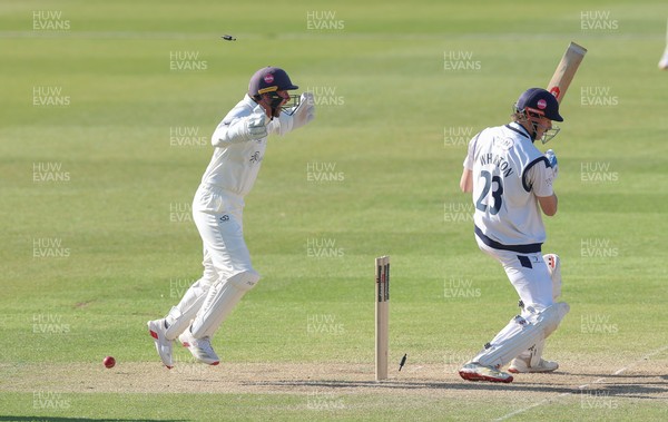 060426 - Glamorgan v Yorkshire, Rothesay County Championship, Division One - Chris Cooke of Glamorgan  celebrates as James Wharton of Yorkshire is bowled by Mason Crane of Glamorgan