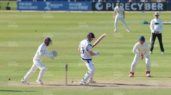 060426 - Glamorgan v Yorkshire, Rothesay County Championship, Division One - Chris Cooke of Glamorgan  celebrates as James Wharton of Yorkshire is bowled by Mason Crane of Glamorgan