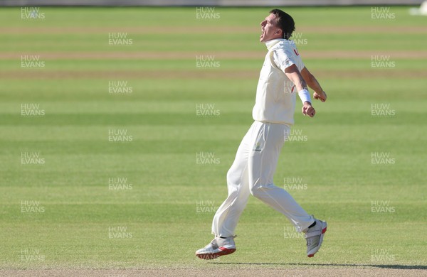 060426 - Glamorgan v Yorkshire, Rothesay County Championship, Division One - Ryan Hadley of Glamorgan celebrates after taking the wicket of Will Luxton of Yorkshire lbw