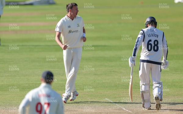060426 - Glamorgan v Yorkshire, Rothesay County Championship, Division One - Ryan Hadley of Glamorgan celebrates after taking the wicket of Will Luxton of Yorkshire lbw