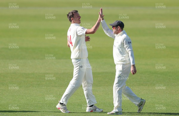 060426 - Glamorgan v Yorkshire, Rothesay County Championship, Division One - Ryan Hadley of Glamorgan celebrates after taking the wicket of Will Luxton of Yorkshire lbw
