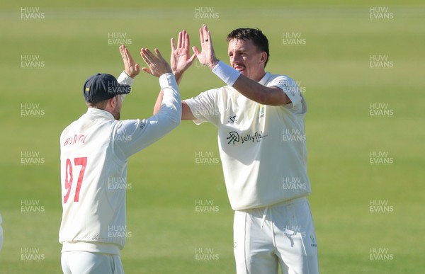 060426 - Glamorgan v Yorkshire, Rothesay County Championship, Division One - Ryan Hadley of Glamorgan celebrates after taking the wicket of Will Luxton of Yorkshire lbw