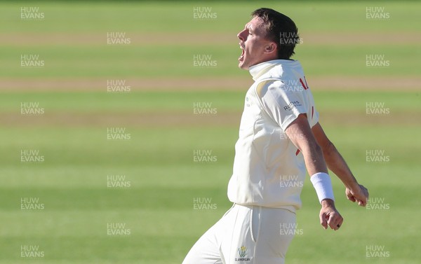 060426 - Glamorgan v Yorkshire, Rothesay County Championship, Division One - Ryan Hadley of Glamorgan celebrates after taking the wicket of Will Luxton of Yorkshire lbw