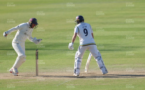 060426 - Glamorgan v Yorkshire, Rothesay County Championship, Division One - Chris Cooke of Glamorgan  celebrates as he catches Adam Lyth of Yorkshire off the bowling of Ben Kellaway of Glamorgan for 97