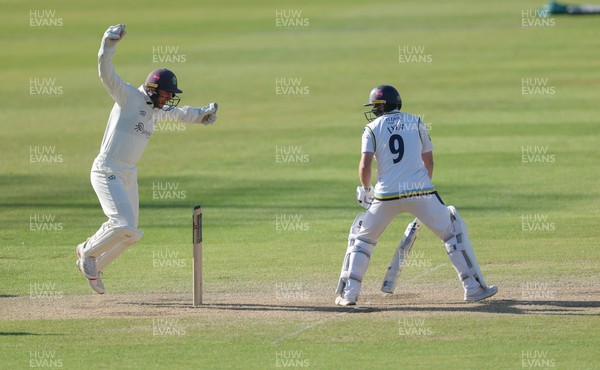 060426 - Glamorgan v Yorkshire, Rothesay County Championship, Division One - Chris Cooke of Glamorgan  celebrates as he catches Adam Lyth of Yorkshire off the bowling of Ben Kellaway of Glamorgan for 97