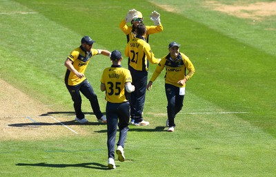 100822 - Glamorgan v Yorkshire - Royal London One-Day Cup - Andrew Salter of Glamorgan celebrates the wicket of Will Fraine of Yorkshire