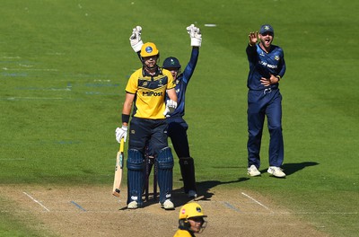 100822 - Glamorgan v Yorkshire - Royal London One-Day Cup - Yorkshire players celebrate the wicket of Joe Cooke of Glamorgan off the bowling of Jack Shutt of Yorkshire