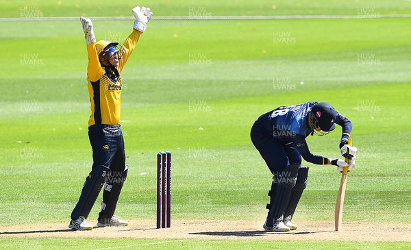 100822 - Glamorgan v Yorkshire - Royal London One-Day Cup - Tom Cullen of Glamorgan celebrates the wicket of George Hill of Yorkshire