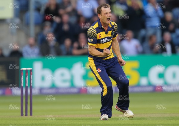 110816 - Glamorgan v Yorkshire Vikings, NatWest T20 Blast Quarter Final -  Graham Wagg of Glamorgan celebrates after Alex Lees of Yorkshire Vikings is caught out