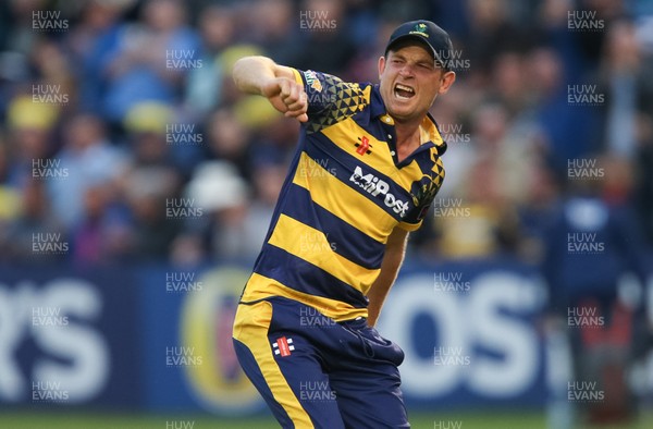 110816 - Glamorgan v Yorkshire Vikings, NatWest T20 Blast Quarter Final -  Graham Wagg of Glamorgan celebrates after catching out Liam Plunkett of Yorkshire Vikings