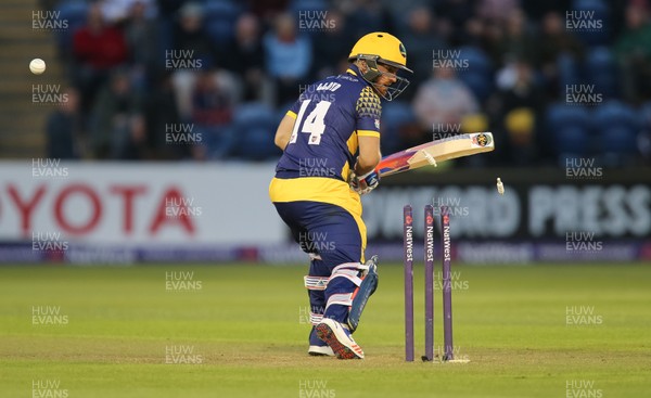 110816 - Glamorgan v Yorkshire Vikings, NatWest T20 Blast Quarter Final -  David Lloyd of Glamorgan is bowled out first ball by Tim Bresnan of Yorkshire Vikings