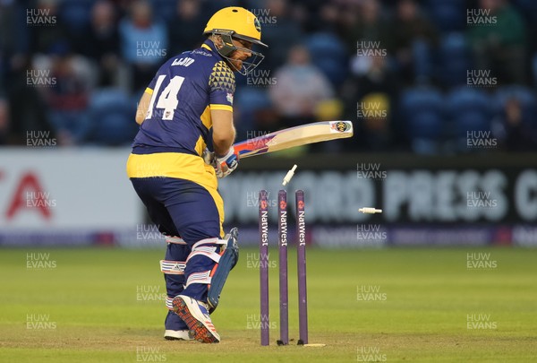 110816 - Glamorgan v Yorkshire Vikings, NatWest T20 Blast Quarter Final -  David Lloyd of Glamorgan is bowled out first ball by Tim Bresnan of Yorkshire Vikings