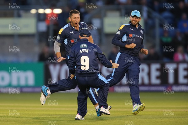 110816 - Glamorgan v Yorkshire Vikings, NatWest T20 Blast Quarter Final -  Tim Bresnan of Yorkshire Vikings celebrates after bowling out David Lloyd of Glamorgan with the first ball