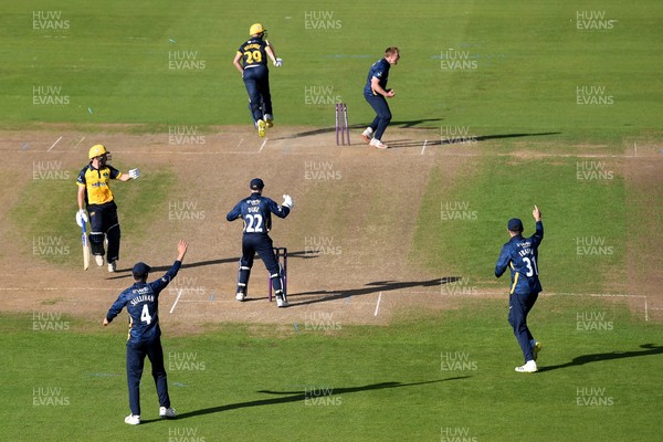 120821 - Glamorgan v Yorkshire - Royal London Cup - Matthew Waite of Yorkshire celebrates the wicket of James Weighell